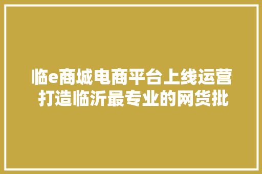 临e商城电商平台上线运营 打造临沂最专业的网货批发平台