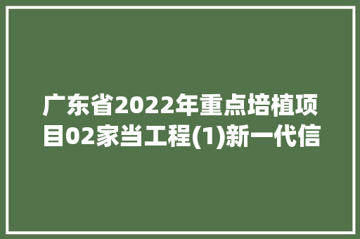 广东省2022年重点培植项目02家当工程(1)新一代信息技能