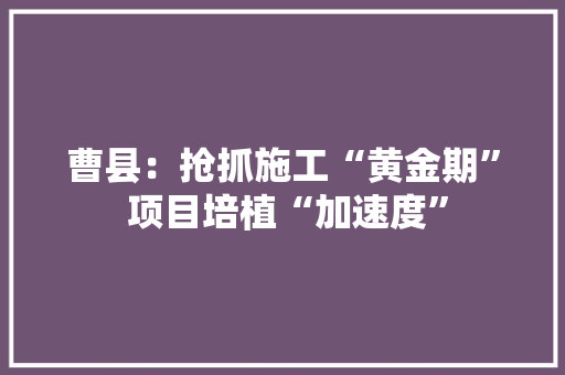 曹县：抢抓施工“黄金期” 项目培植“加速度”