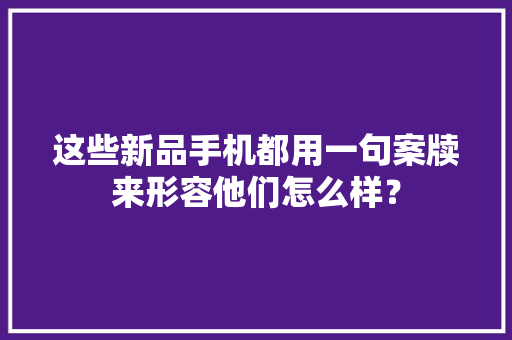 这些新品手机都用一句案牍来形容他们怎么样？