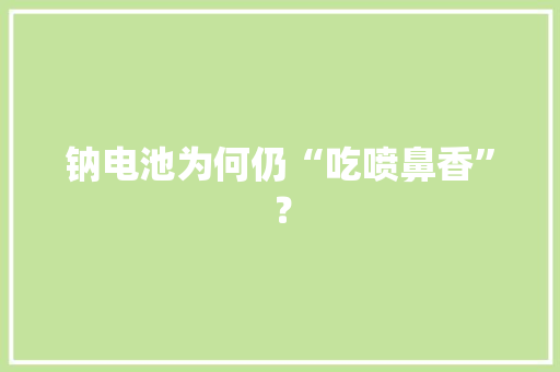 钠电池为何仍“吃喷鼻香”？