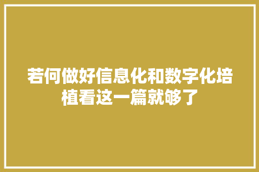若何做好信息化和数字化培植看这一篇就够了