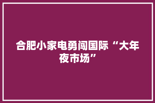 合肥小家电勇闯国际“大年夜市场”