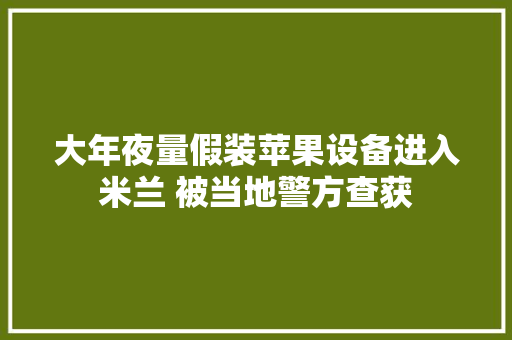 大年夜量假装苹果设备进入米兰 被当地警方查获