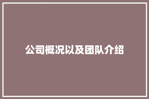 公司概况以及团队介绍