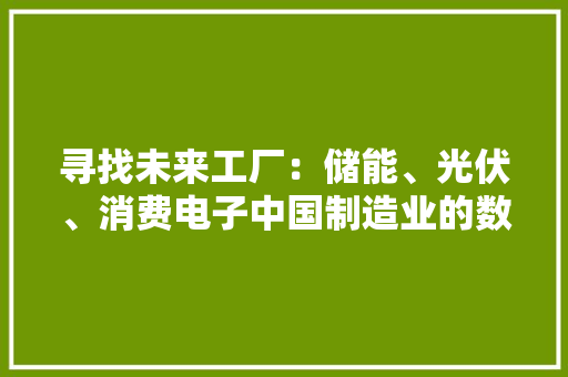 寻找未来工厂：储能、光伏、消费电子中国制造业的数字化进击