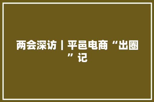 两会深访｜平邑电商“出圈”记