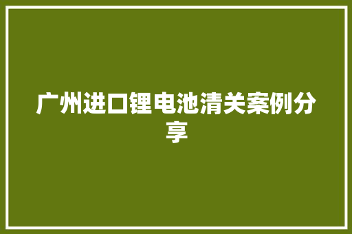 广州进口锂电池清关案例分享