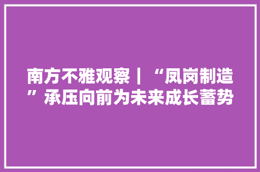 南方不雅观察｜“凤岗制造”承压向前为未来成长蓄势储能