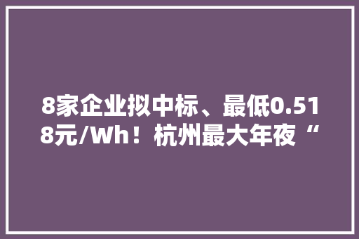 8家企业拟中标、最低0.518元/Wh！杭州最大年夜“充电宝”上线