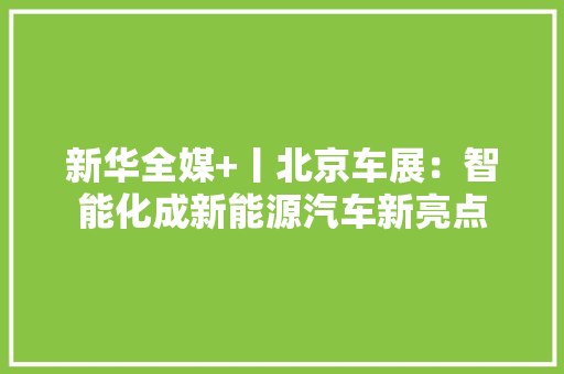 新华全媒+丨北京车展：智能化成新能源汽车新亮点