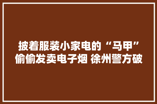 披着服装小家电的“马甲”偷偷发卖电子烟 徐州警方破获收集造孽发卖电子烟案  案值超百万元