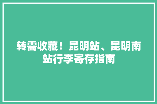 转需收藏！昆明站、昆明南站行李寄存指南