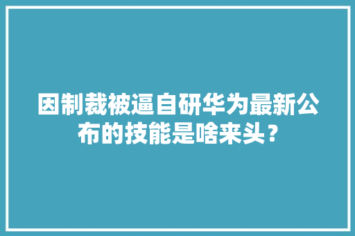 因制裁被逼自研华为最新公布的技能是啥来头？