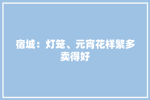 宿城：灯笼、元宵花样繁多卖得好