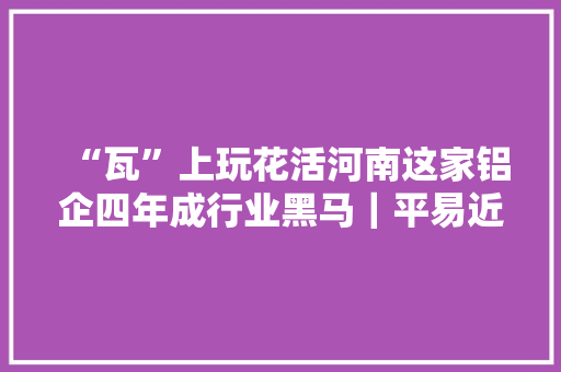 “瓦”上玩花活河南这家铝企四年成行业黑马｜平易近营企业向新进化