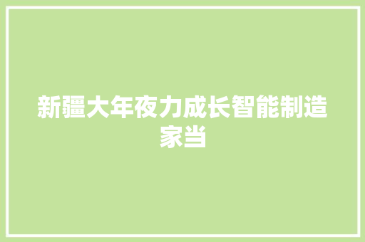 新疆大年夜力成长智能制造家当