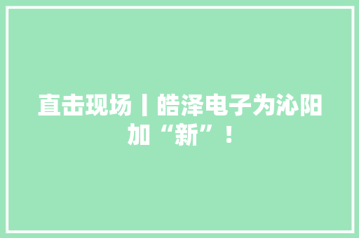 直击现场丨皓泽电子为沁阳加“新”！