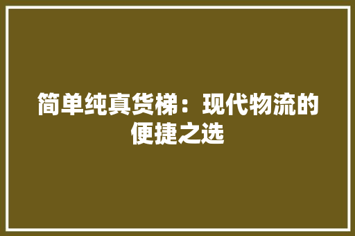 简单纯真货梯：现代物流的便捷之选