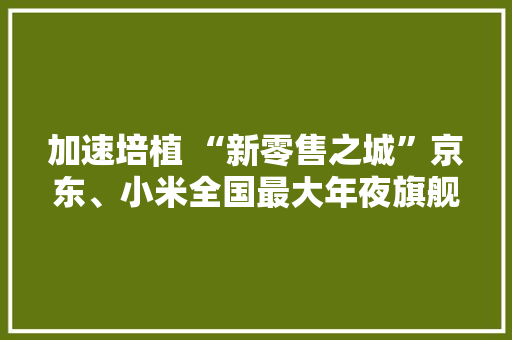 加速培植 “新零售之城”京东、小米全国最大年夜旗舰店都在西安