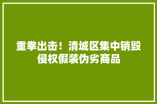 重拳出击！清城区集中销毁侵权假装伪劣商品
