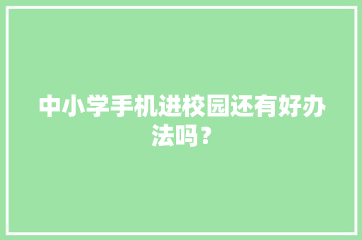 中小学手机进校园还有好办法吗？