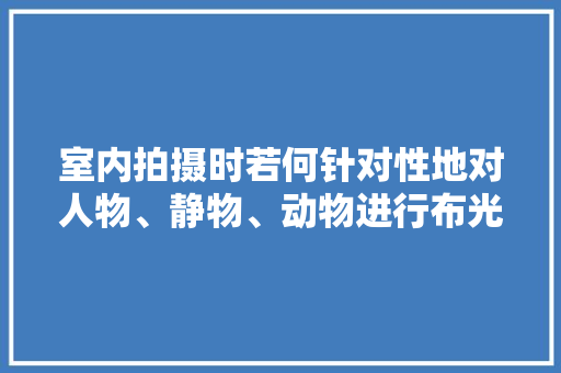 室内拍摄时若何针对性地对人物、静物、动物进行布光？