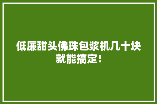 低廉甜头佛珠包浆机几十块就能搞定！