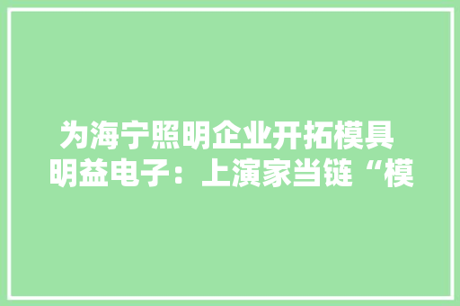 为海宁照明企业开拓模具 明益电子：上演家当链“模”术