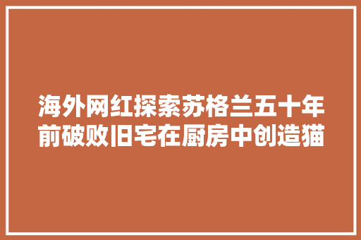 海外网红探索苏格兰五十年前破败旧宅在厨房中创造猫咪木乃伊