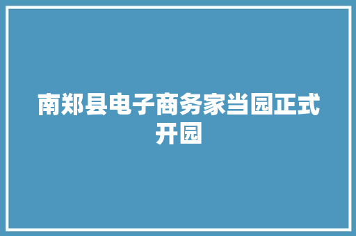 南郑县电子商务家当园正式开园
