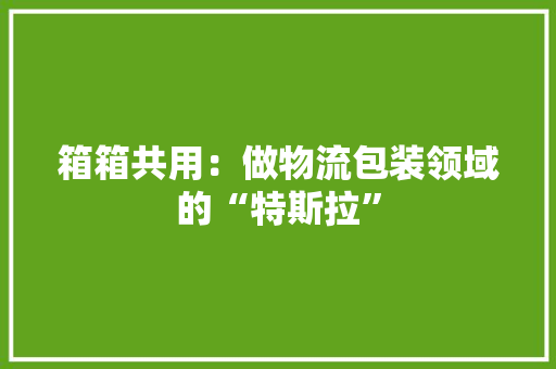 箱箱共用：做物流包装领域的“特斯拉”