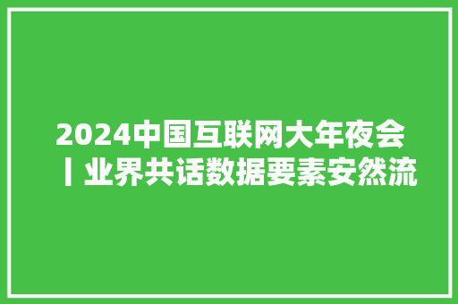2024中国互联网大年夜会丨业界共话数据要素安然流利难题破解之道