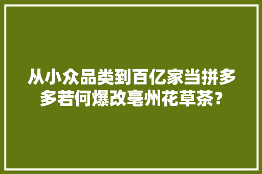 从小众品类到百亿家当拼多多若何爆改亳州花草茶？