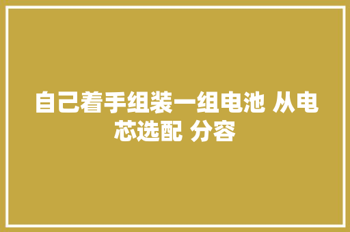 自己着手组装一组电池 从电芯选配 分容