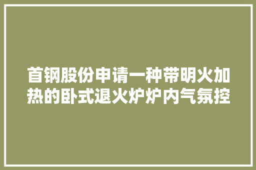 首钢股份申请一种带明火加热的卧式退火炉炉内气氛控制专利实现中低商标硅钢退火产线产能与质量兼顾