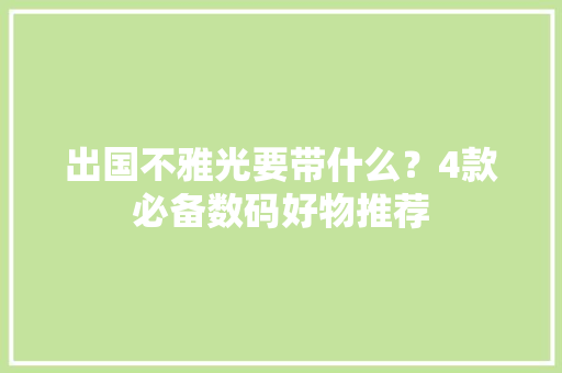 出国不雅光要带什么？4款必备数码好物推荐