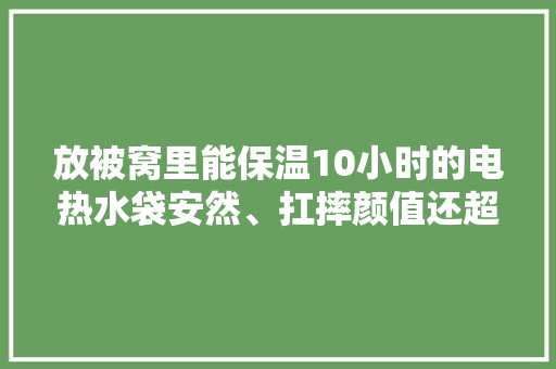 放被窝里能保温10小时的电热水袋安然、扛摔颜值还超高啊