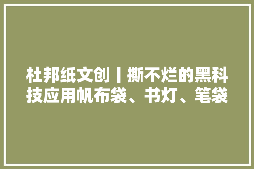 杜邦纸文创丨撕不烂的黑科技应用帆布袋、书灯、笔袋……