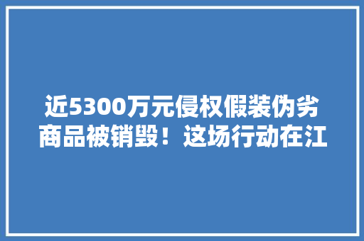 近5300万元侵权假装伪劣商品被销毁！这场行动在江门举行