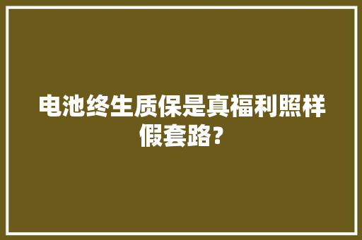 电池终生质保是真福利照样假套路？