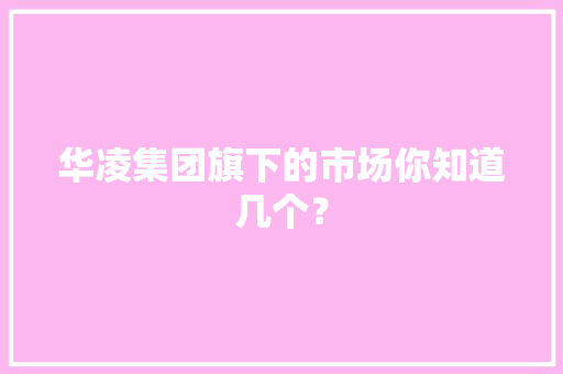 华凌集团旗下的市场你知道几个？