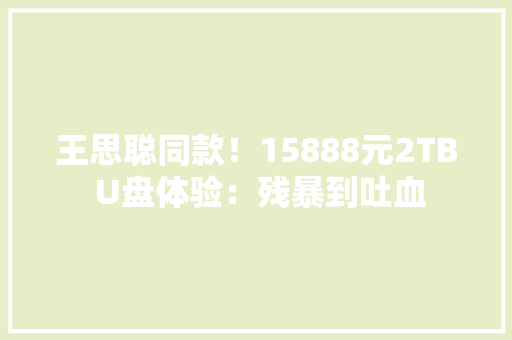 王思聪同款！15888元2TB U盘体验：残暴到吐血