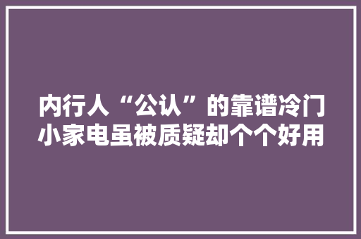 内行人“公认”的靠谱冷门小家电虽被质疑却个个好用