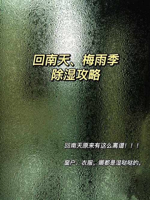 给数码电子产品的鸡毛信防潮秘笈在手回南天不再烦 智能科技 给数码电子产品的鸡毛信防潮秘笈在手回南天不再烦 给数码电子产品的鸡毛信防潮秘笈在手回南天不再烦 智能科技
