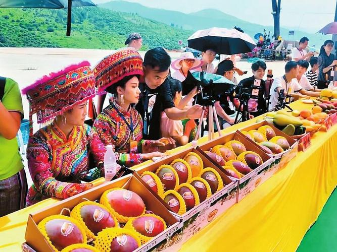 丽江新型电商主打土特产和旅游 人工智能 丽江新型电商主打土特产和旅游 丽江新型电商主打土特产和旅游 人工智能