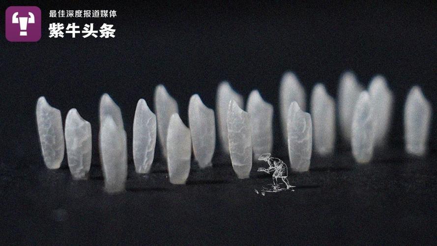 「紫牛头条」米粒、西瓜、针线……被这个小伙设计成冲动百万网友的创意海报 智能家居 「紫牛头条」米粒、西瓜、针线……被这个小伙设计成冲动百万网友的创意海报 「紫牛头条」米粒、西瓜、针线……被这个小伙设计成冲动百万网友的创意海报 智能家居