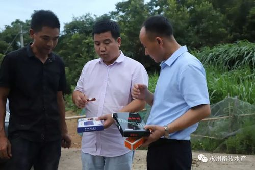 永州经开区:前辈电子器件家当蓬勃成长 互联通信 永州经开区:前辈电子器件家当蓬勃成长 永州经开区:前辈电子器件家当蓬勃成长 互联通信