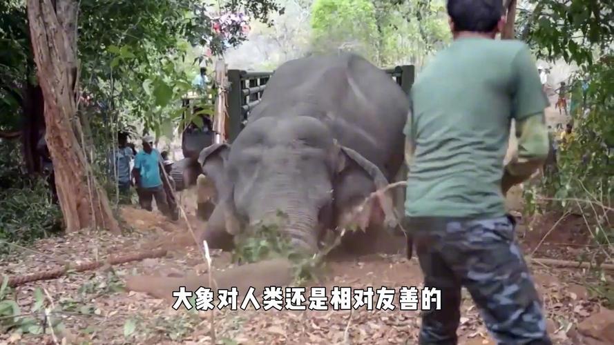 同学们骑电动自行车出行务须要留心→ 互联通信 同学们骑电动自行车出行务须要留心→ 同学们骑电动自行车出行务须要留心→ 互联通信