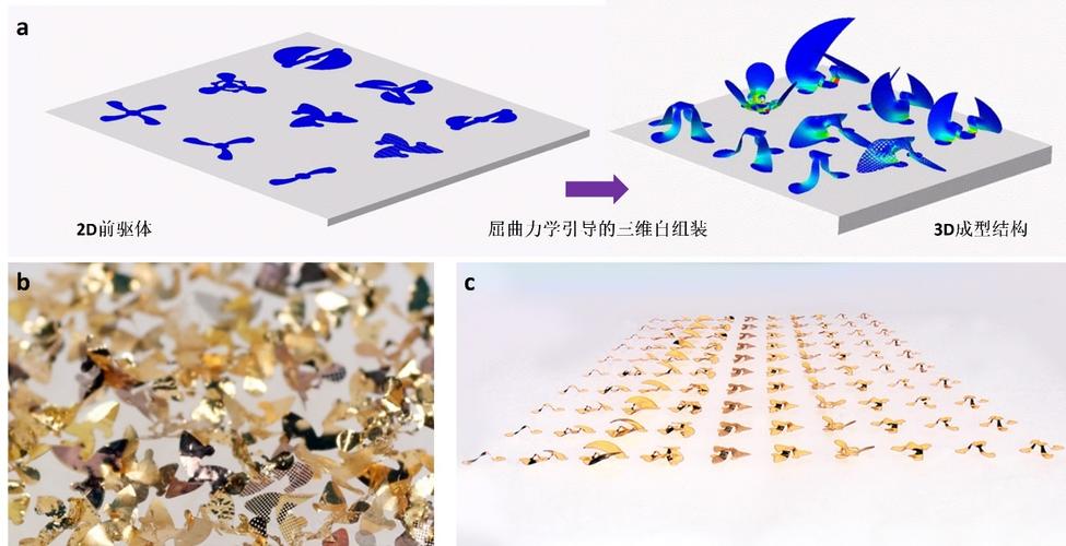 清华张一慧组Chem. Rev.: 力学引导的三维柔性电子器件组装方法 人工智能 清华张一慧组Chem. Rev.: 力学引导的三维柔性电子器件组装方法 清华张一慧组Chem. Rev.: 力学引导的三维柔性电子器件组装方法 人工智能